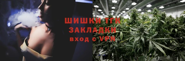тгк Каменка