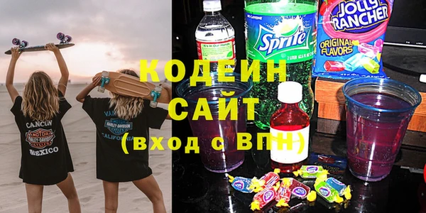 тгк Каменка