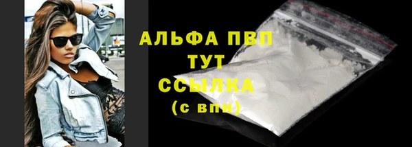 тгк Каменка