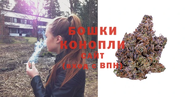 тгк Каменка