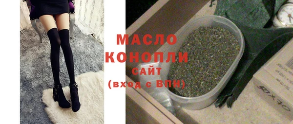 тгк Каменка
