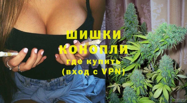 альфа пвп Каменногорск