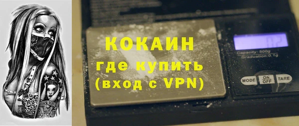 тгк Каменка