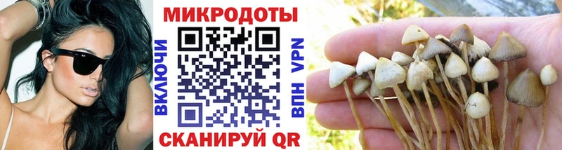 Купить где  Лабытнанги  Псилоцибиновые грибы Magic Shrooms 